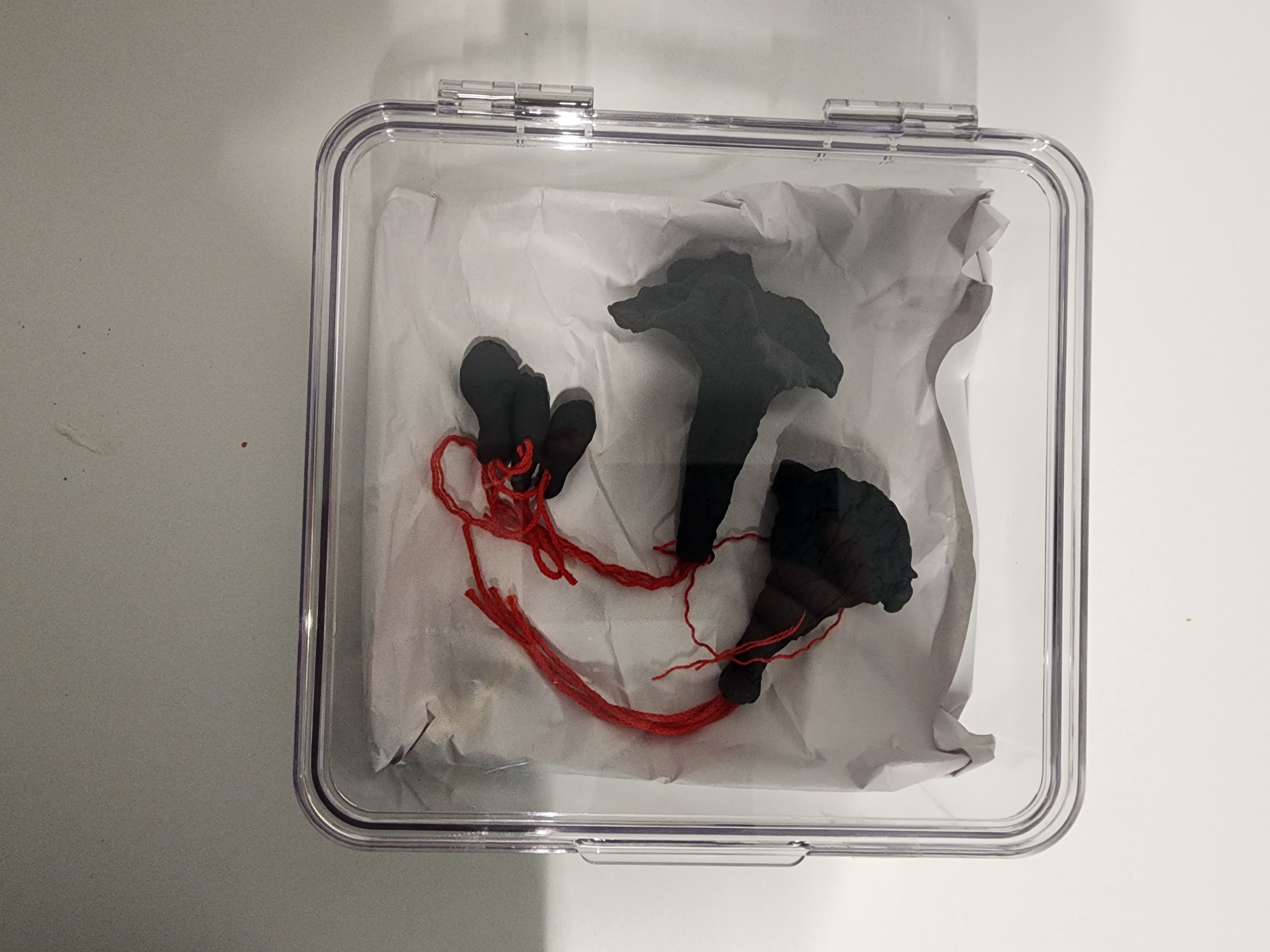 20251211_013418.jpg|400