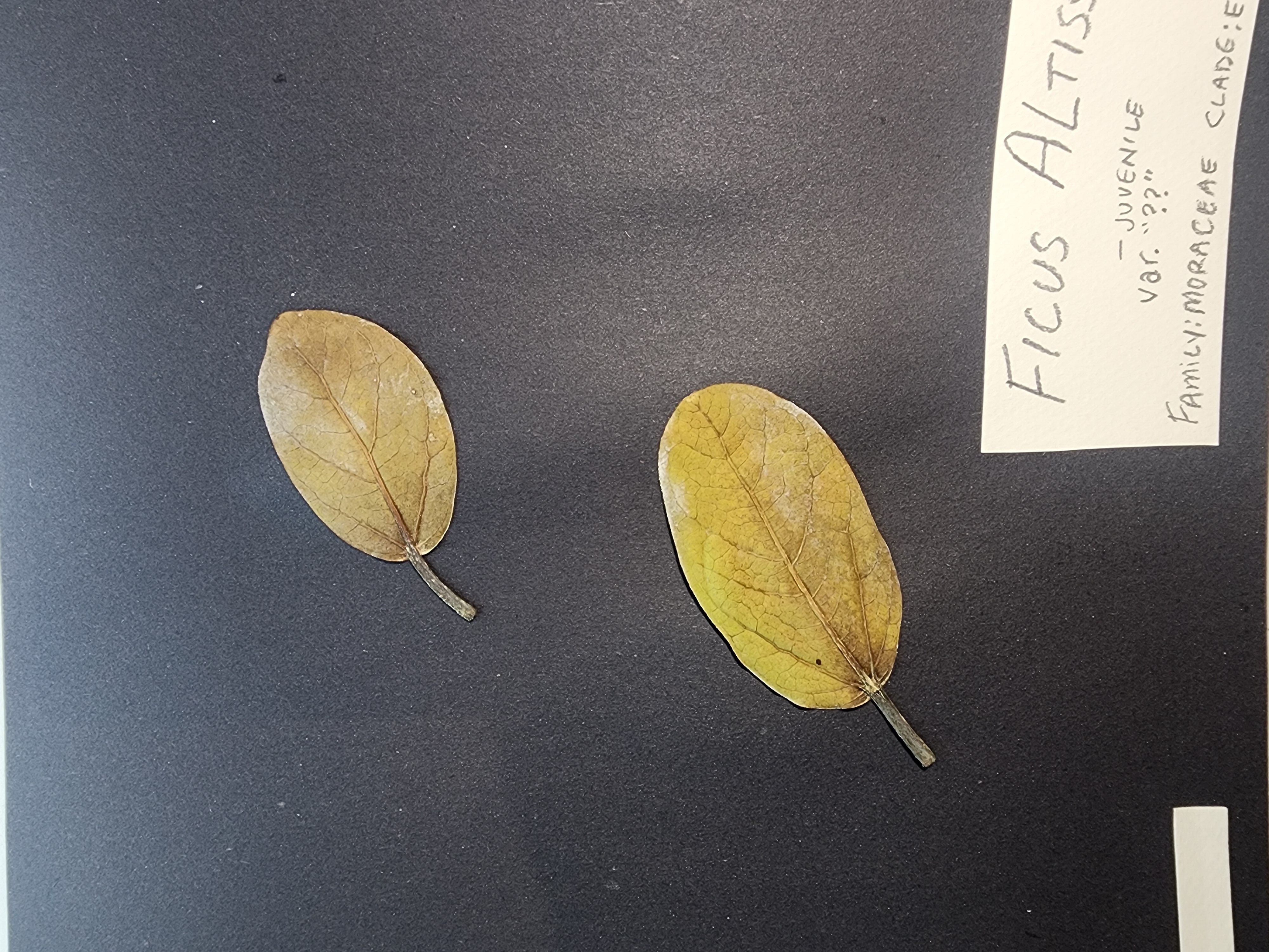 20251211_143216.jpg|300