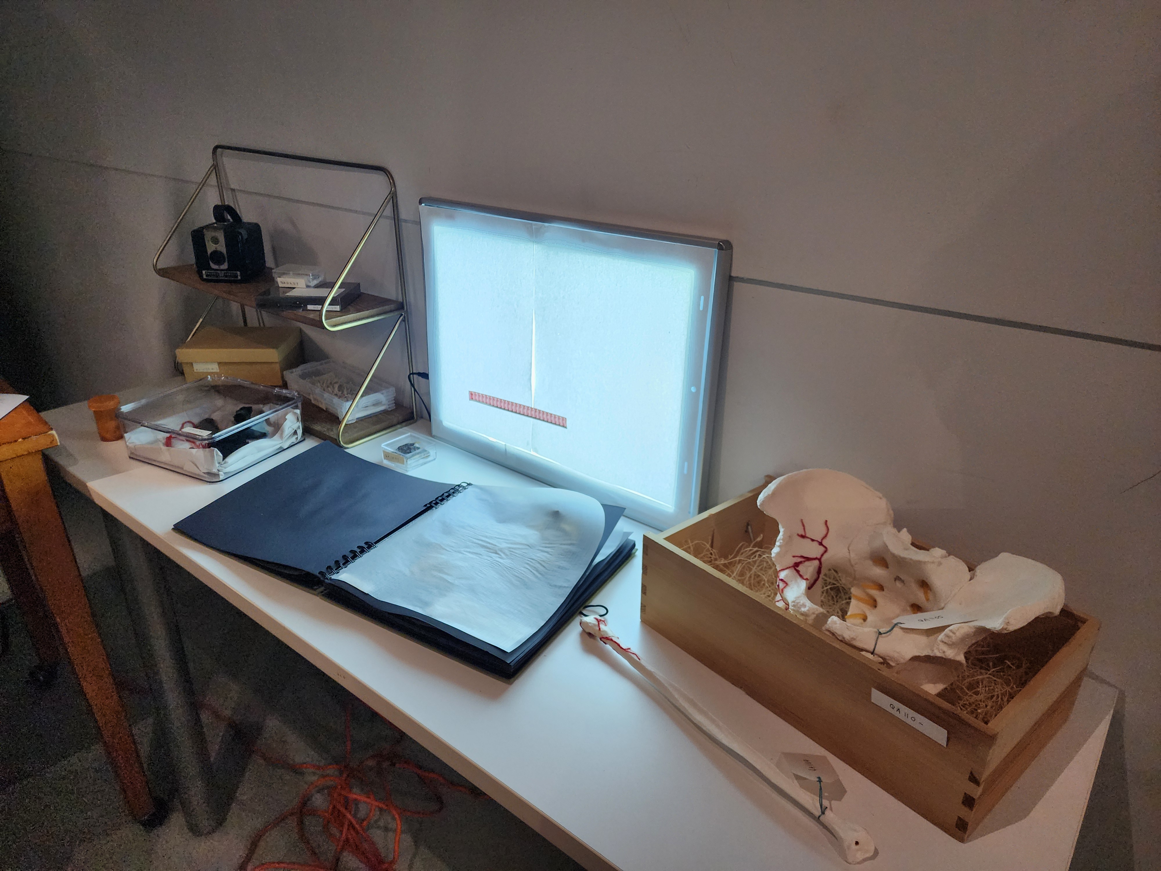 20251212_132355.jpg|350