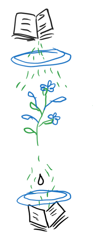 Writing in parks-imgbooks as lenses 1.png